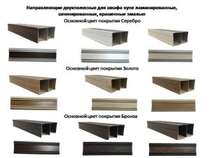 Направляющие двухполосные для шкафа купе ламинированные, шпонированные, крашенные эмалью Новоалтайск
